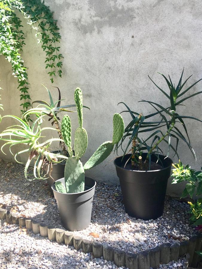 Dans Une Maison, Appartement Independant Et Jardin بيربينيو المظهر الخارجي الصورة